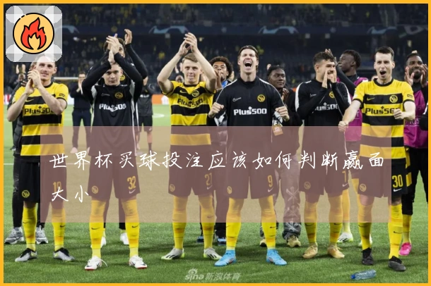 世界杯买球投注应该如何判断赢面大小