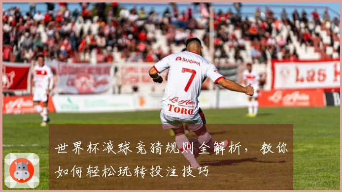 世界杯滚球竞猜规则全解析，教你如何轻松玩转投注技巧