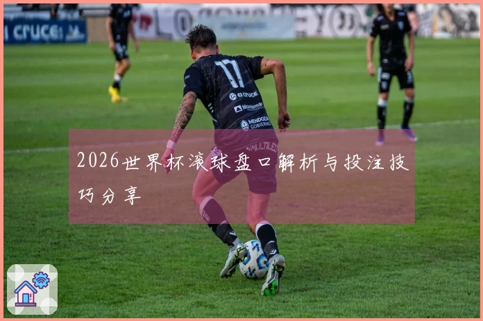 2026世界杯滚球盘口解析与投注技巧分享