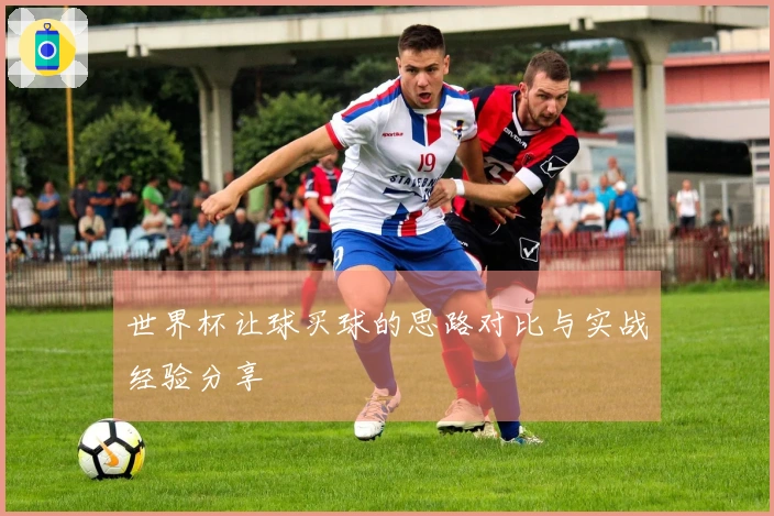 世界杯让球买球的思路对比与实战经验分享