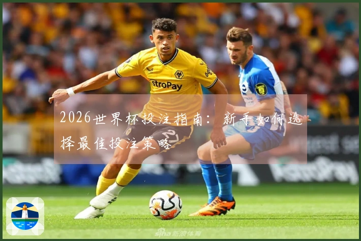 2026世界杯投注指南：新手如何选择最佳投注策略