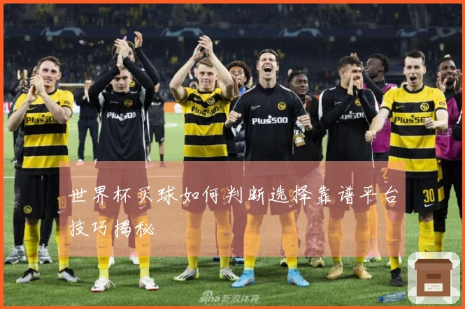 世界杯买球如何判断选择靠谱平台技巧揭秘