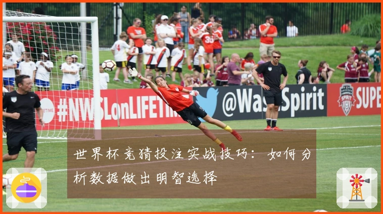 世界杯竞猜投注实战技巧：如何分析数据做出明智选择