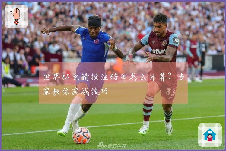世界杯竞猜投注赔率怎么计算？专家教你实战技巧