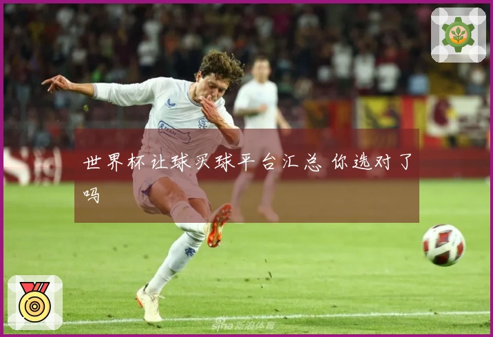 世界杯让球买球平台汇总 你选对了吗