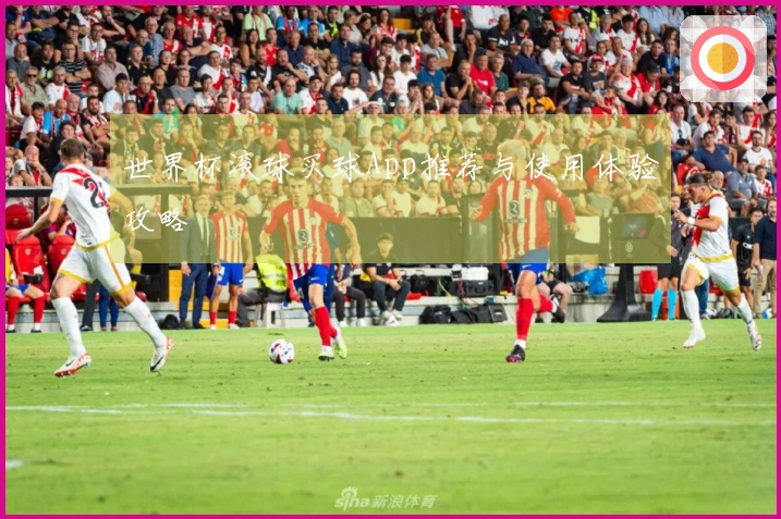世界杯滚球买球App推荐与使用体验攻略