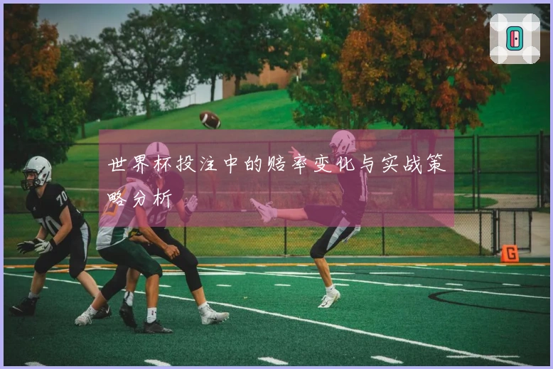 世界杯投注中的赔率变化与实战策略分析